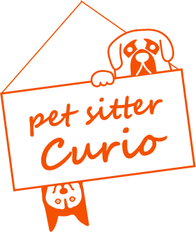 pet sitter Curio